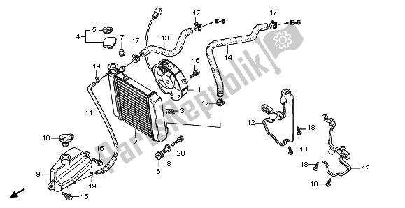 Tutte le parti per il Termosifone del Honda FES 125A 2010