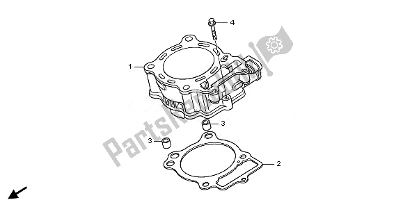All parts for the Cylinder of the Honda CRF 150 RB LW 2008