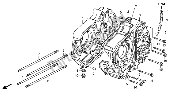 All parts for the Crankcase of the Honda CRF 50F 2009