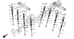 CAMSHAFT & VALVE (REAR)