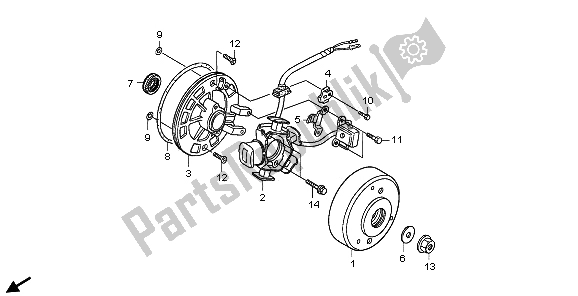 Wszystkie części do Generator Honda CRF 50F 2006