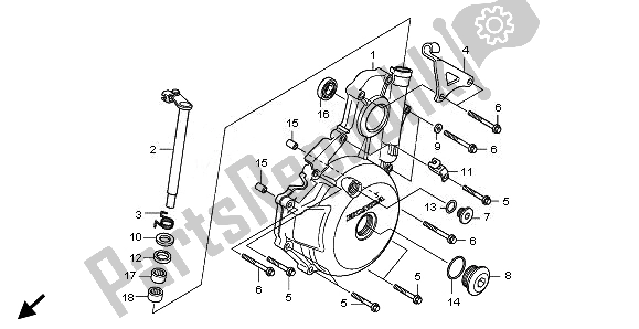 Tutte le parti per il Coperchio Carter Sinistro del Honda TRX 700 XX 2008