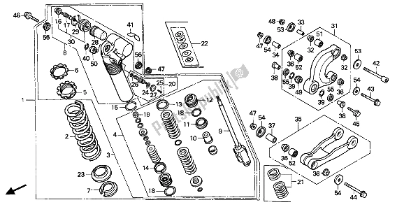 Todas las partes para Cojín Trasero de Honda CR 125R 1987