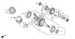 CRANK SHAFT & PISTON