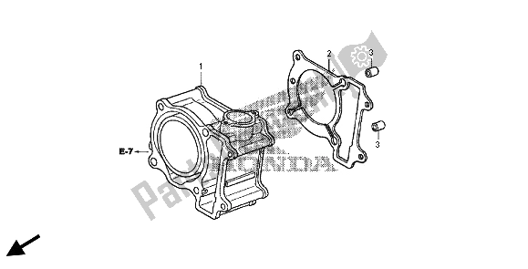 All parts for the Cylinder of the Honda FES 125 2012