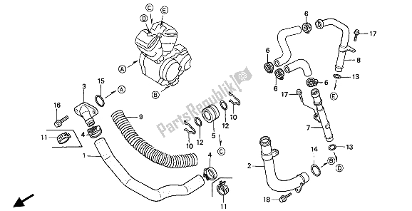 All parts for the Water Pipe of the Honda NTV 650 1991