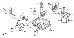 OIL PAN & OIL PUMP