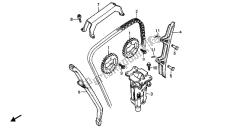 CAM CHAIN & TENSIONER