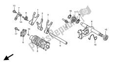 SHIFT DRUM & SHIFT FORK