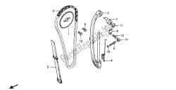 CAM CHAIN & TENSIONER