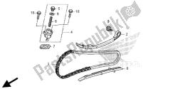 CAM CHAIN & TENSIONER