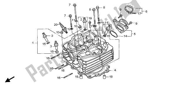 Alle onderdelen voor de Cilinderkop van de Honda NX 650 1998