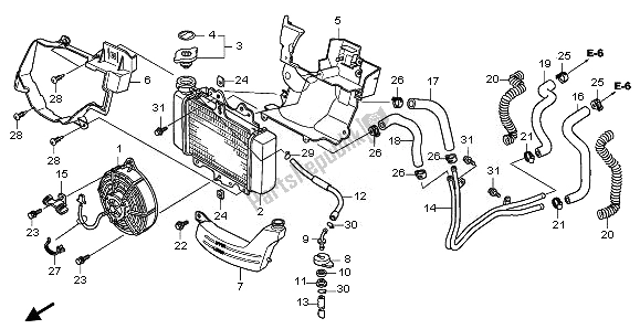 All parts for the Radiator of the Honda SH 125S 2011