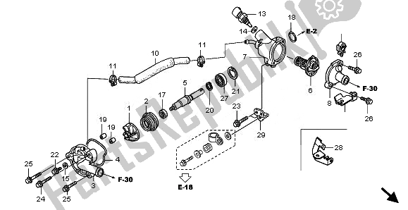 All parts for the Water Pump of the Honda FES 125 2008