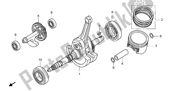 Todas las partes para Cigüeñal Y Pistón de Honda TRX 650 FA Fourtrax Rincon 2004