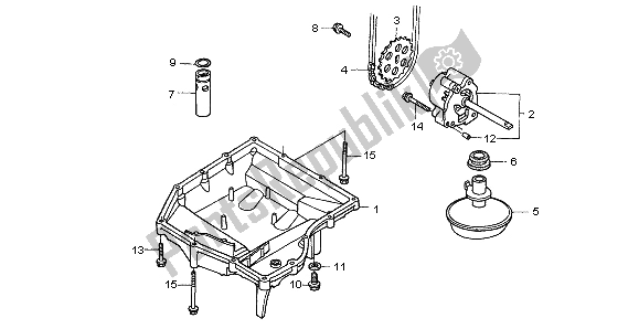 All parts for the Oil Pan & Oil Pump of the Honda CBF 600N 2007