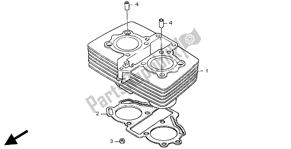 All parts for the Cylinder of the Honda CA 125 1998