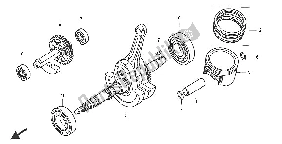 Tutte le parti per il Albero Motore E Pistone del Honda TRX 650 FA Fourtrax Rincon 2005