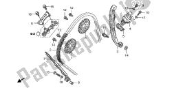 CAM CHAIN & TENSIONER