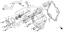 RIGHT CRANKCASE COVER & WATER PUMP