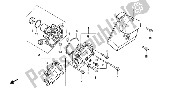 All parts for the Water Pump of the Honda NTV 650 1989