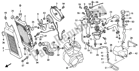 Alle onderdelen voor de Radiator van de Honda VT 600C 1988