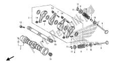 CAMSHAFT & VALVE