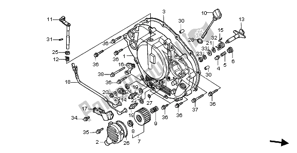 Tutte le parti per il Coperchio Del Carter del Honda TRX 300 EX Fourtrax 2000