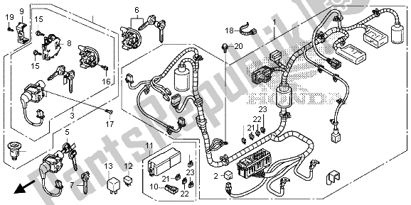All parts for the Wire Harness of the Honda SH 125D 2013