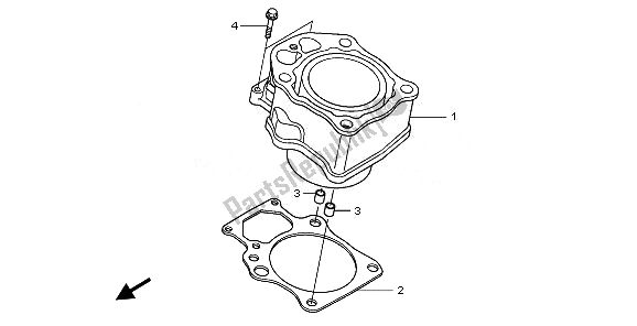 Tutte le parti per il Cilindro del Honda TRX 420 FA Fourtrax Rancher AT 2010