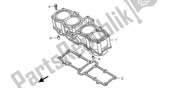 All parts for the Cylinder of the Honda CB 1300 2009