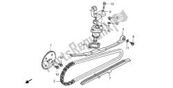 cadena de levas y tensor