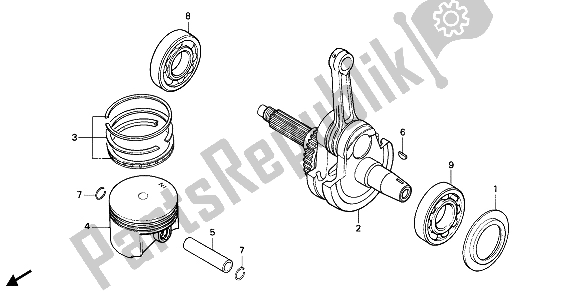 All parts for the Piston & Crankshaft of the Honda NX 650 1988