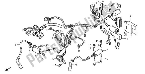 All parts for the Wire Harness & Igntion Coil of the Honda VT 125C 2007
