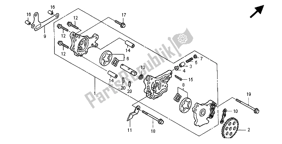 Tutte le parti per il Pompa Dell'olio del Honda XR 250R 1996