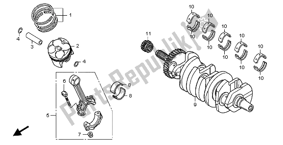 All parts for the Crankshaft & Piston of the Honda CB 600F Hornet 2009