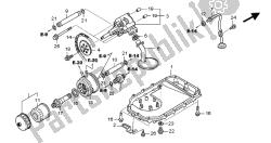 OIL PUMP & OIL PAN