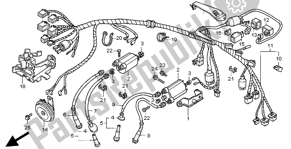 All parts for the Wire Harness of the Honda VT 600C 1997