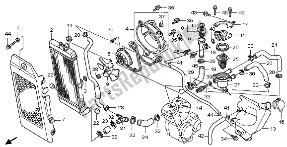 Alle onderdelen voor de Radiator van de Honda VT 750C 2008