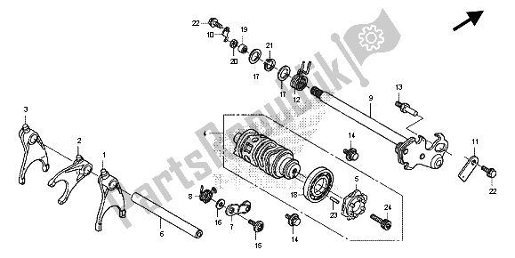 Todas las partes para Tambor De Cambio De Marchas de Honda CB 600F Hornet 2013