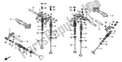 CAMSHAFT & VALVE