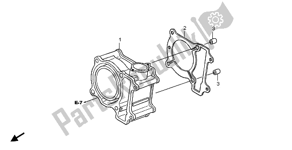 All parts for the Cylinder of the Honda SH 150 2009