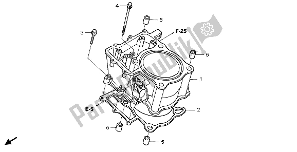 Toutes les pièces pour le Cylindre du Honda TRX 680 FA Fourtrax Rincon 2006