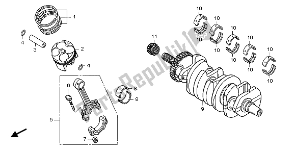 All parts for the Crankshaft & Piston of the Honda CB 600F Hornet 2007