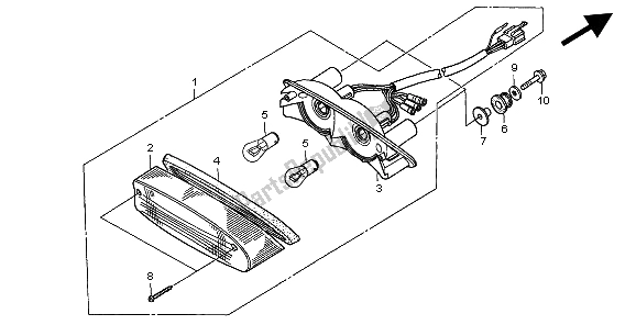 All parts for the Taillight of the Honda CB 600F Hornet 1998