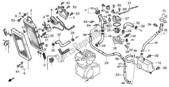 Tutte le parti per il Termosifone del Honda VT 1100C2 1995