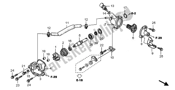 All parts for the Water Pump of the Honda FES 125A 2011