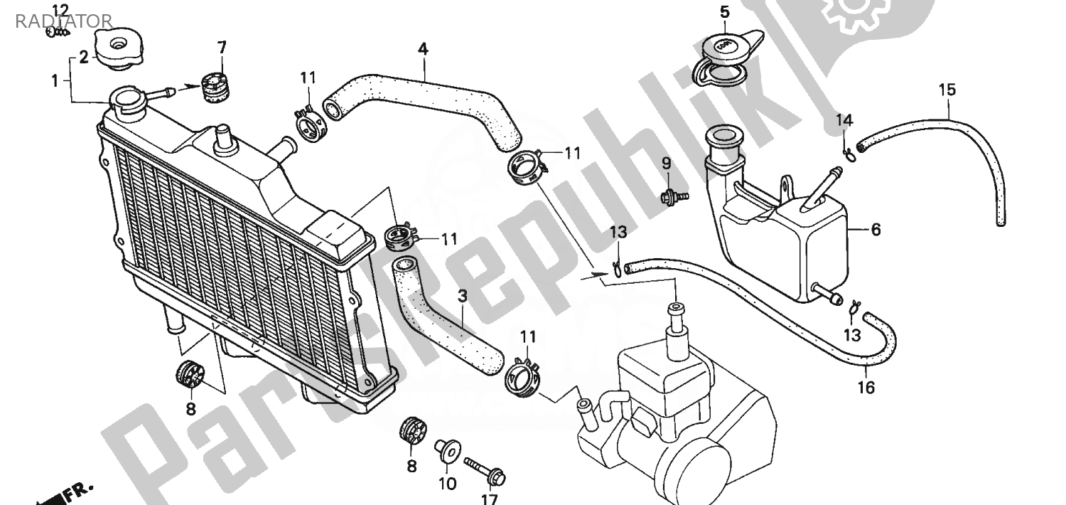 All parts for the Radiator of the Honda NSR 75 1992