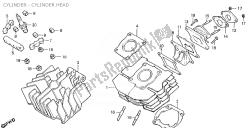 Cylinder - Cylinder head