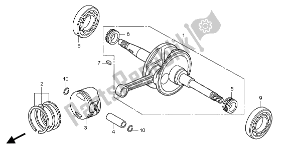 All parts for the Crankshaft & Piston of the Honda PES 125 2007